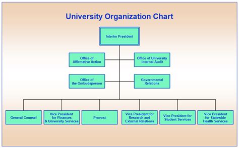 moi university organizational structure